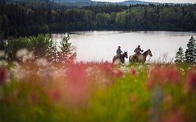Montana Hill Guest Ranch